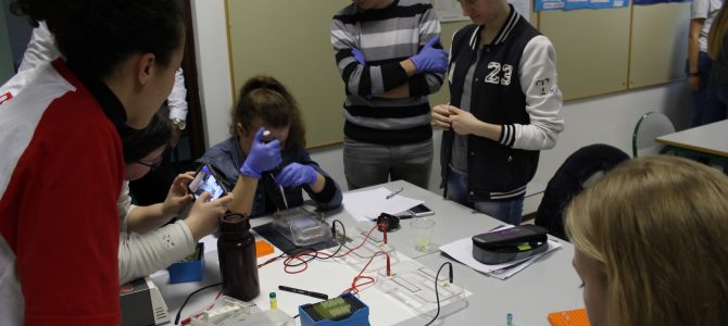 Alla scoperta dei segreti del DNA