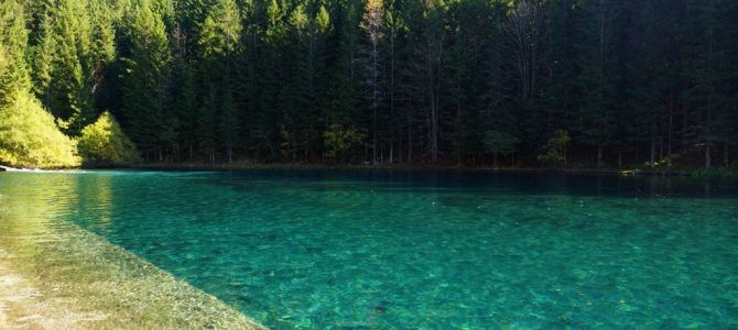 L’anno scolastico inizia con la scuola in natura