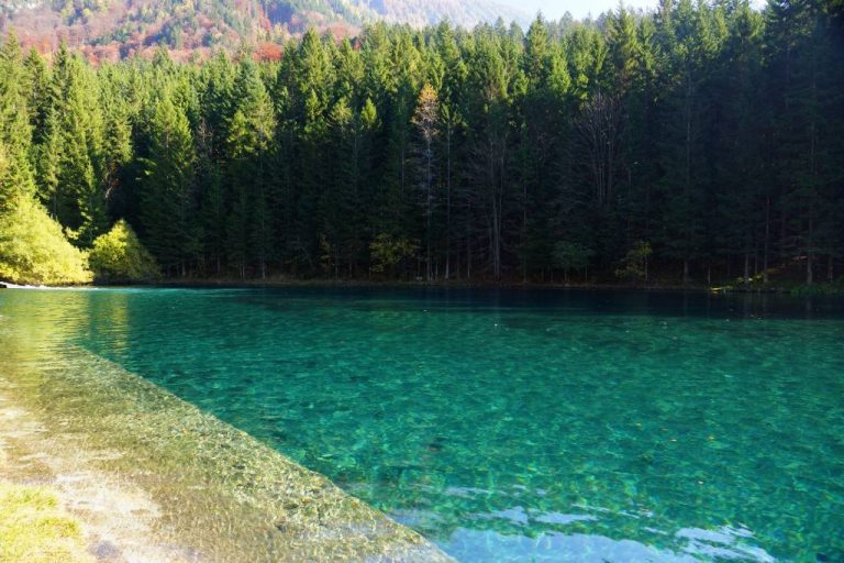 L’anno scolastico inizia con la scuola in natura