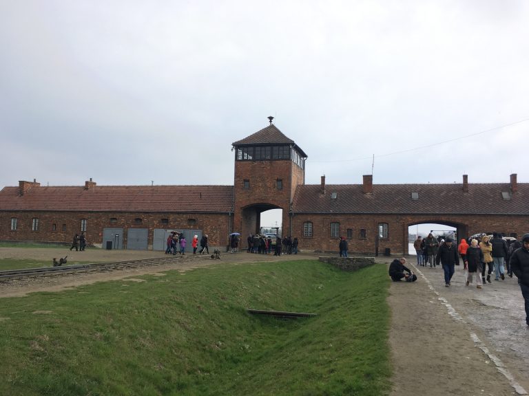 Coltivare la memoria