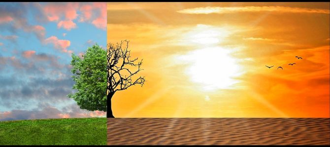 Cambiamento climatico, cosa si può fare?