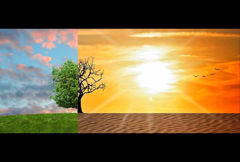 Cambiamento climatico, cosa si può fare?