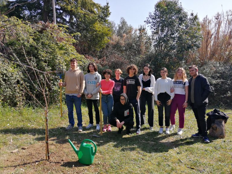 Un albero per le api